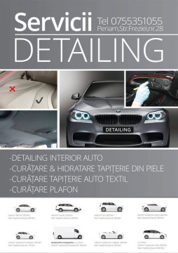 Detailing Auto Profesional